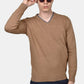 ανδρικό-πουλόβερ-normal-fit-με-λαιμόκοψη-v