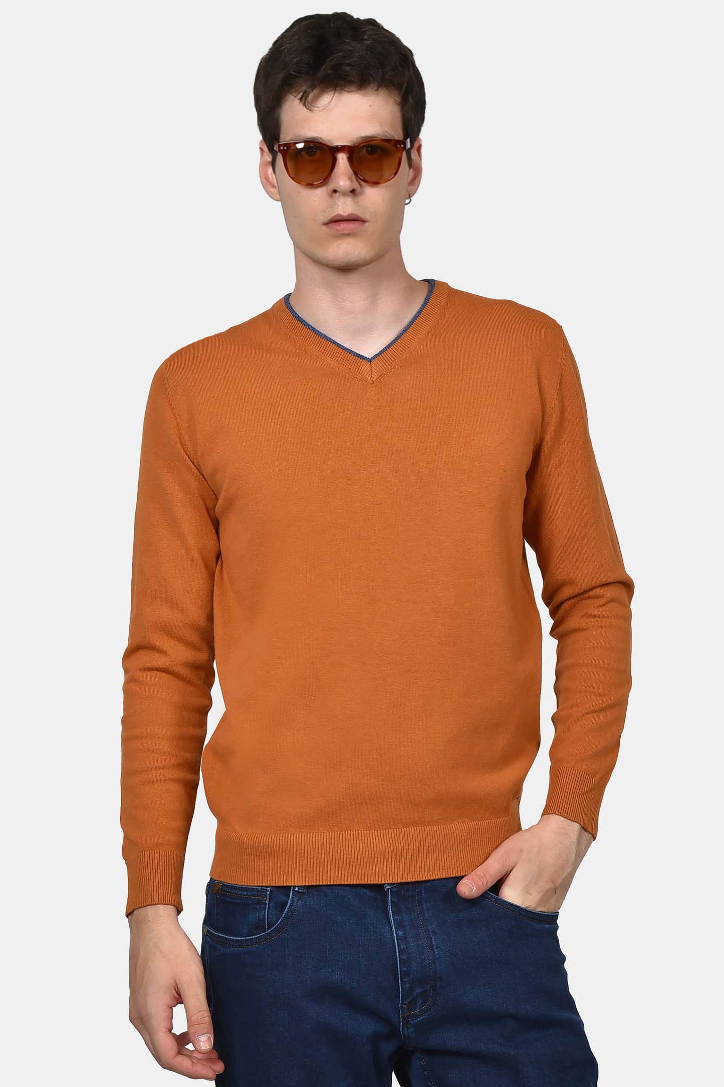 ανδρικό-πουλόβερ-normal-fit-με-λαιμόκοψη-v