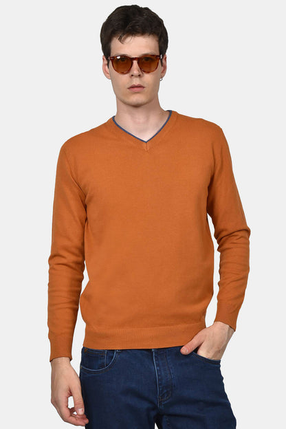 ανδρικό-πουλόβερ-normal-fit-με-λαιμόκοψη-v
