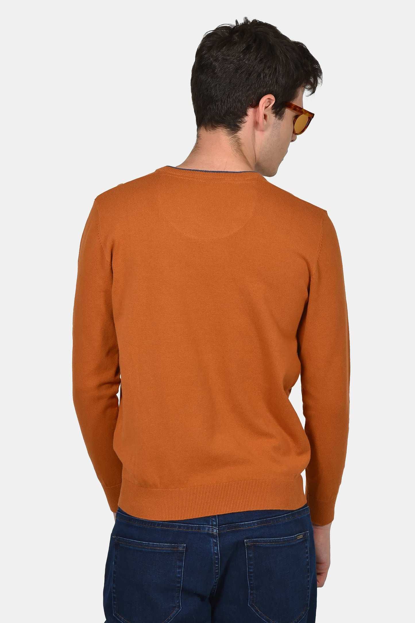 ανδρικό-πουλόβερ-normal-fit-με-λαιμόκοψη-v