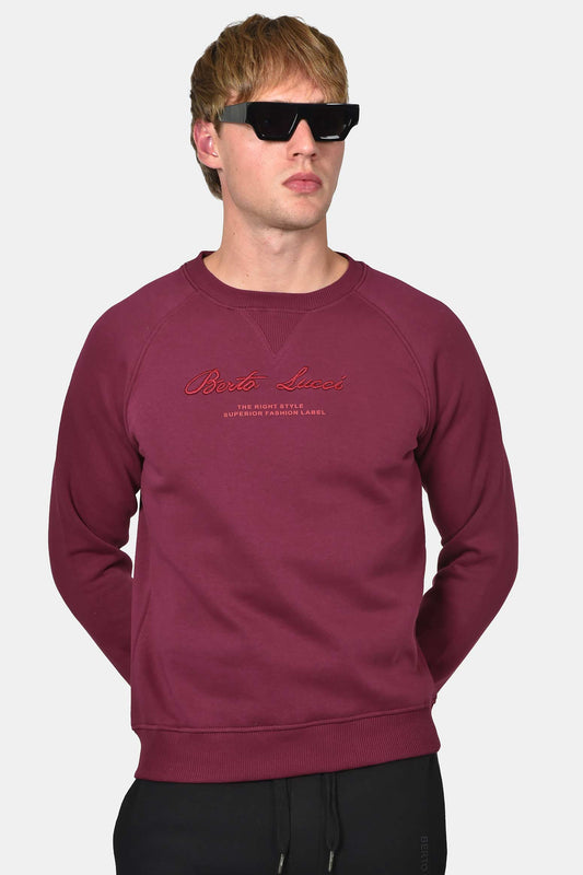 ανδρικό-φούτερ-με-κέντημα-berto-lucci